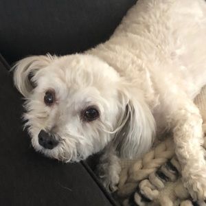 Meet your Posher, Colene